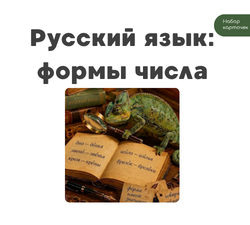29 карточек для изучения форм числа